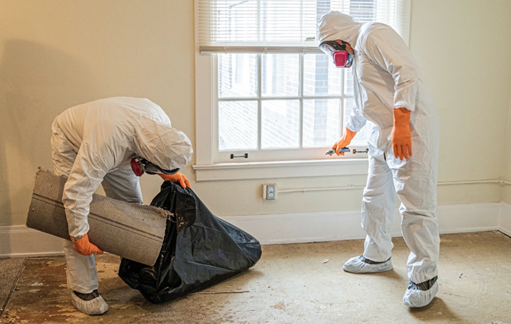 Limpiezas traumaticas en Madrid Limpiezas traumaticas Madrid